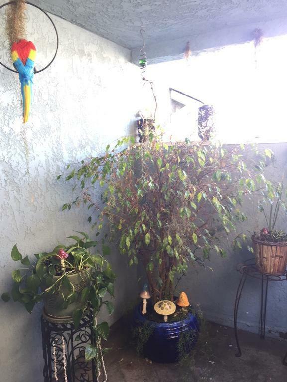 Pacific Beach Butterfly Suite San Diego Ngoại thất bức ảnh
