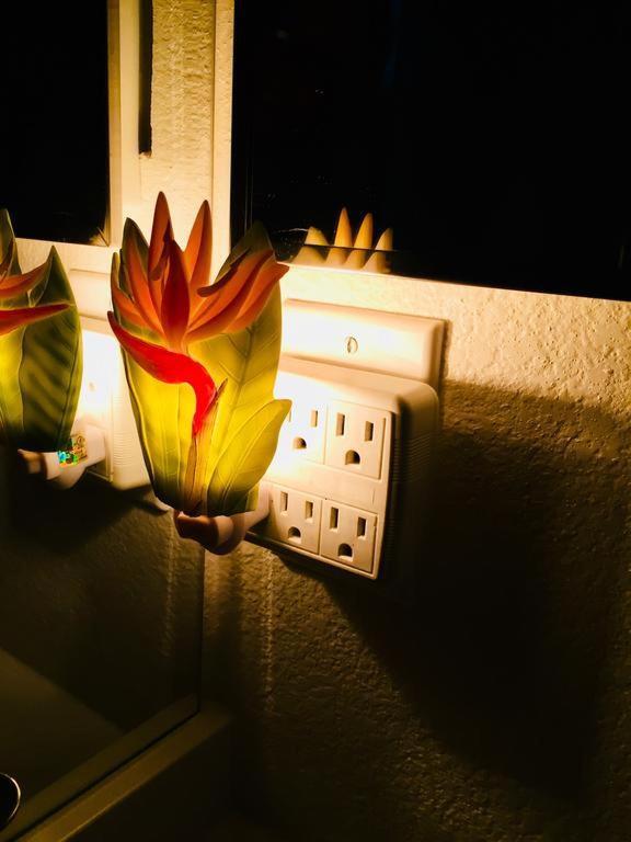 Pacific Beach Butterfly Suite San Diego Ngoại thất bức ảnh